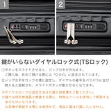 正規品 アメリカンツーリスター スーツケース | ギャレリア Bag＆Luggage | 詳細画像6 