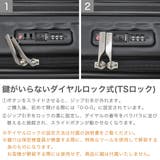正規品 アメリカンツーリスター スーツケース | ギャレリア Bag&Luggage | 詳細画像6