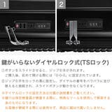 正規品 アメリカンツーリスター スーツケース | ギャレリア Bag&Luggage | 詳細画像6