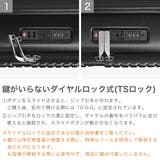 正規品 アメリカンツーリスター スーツケース | ギャレリア Bag&Luggage | 詳細画像6