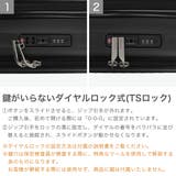 正規品 アメリカンツーリスター スーツケース | ギャレリア Bag&Luggage | 詳細画像6