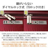 エーストーキョー スーツケース ace | ギャレリア Bag&Luggage | 詳細画像9