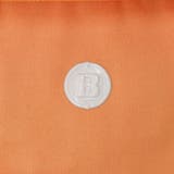 日本正規品 ブリーフィング ゴルフ | ギャレリア Bag&Luggage | 詳細画像18