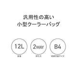 日本正規品 ブリーフィング クーラーバッグ | ギャレリア Bag＆Luggage | 詳細画像6 