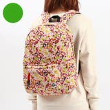 Picnic(Z191) | 日本正規品 チャムス リュック | ギャレリア Bag＆Luggage