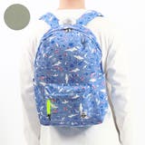 Summer-Vacation(Z309) | 日本正規品 チャムス リュック | ギャレリア Bag＆Luggage