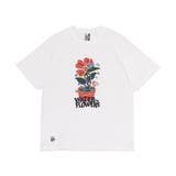 White | 日本正規品 チャムス Tシャツ | ギャレリア Bag＆Luggage