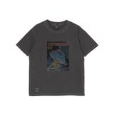 Black | 日本正規品 チャムス Tシャツ | ギャレリア Bag＆Luggage