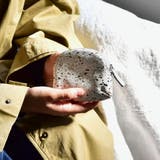 クルニー 財布 CRONY | ギャレリア Bag&Luggage | 詳細画像7