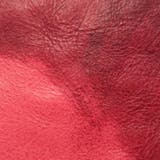 ダコタ 長財布 Dakota | ギャレリア Bag&Luggage | 詳細画像14