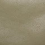 ダコタ トートバッグ Dakota | ギャレリア Bag＆Luggage | 詳細画像26 