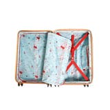 10周年記念 コラボ2 スーツケース | ギャレリア Bag＆Luggage | 詳細画像19 