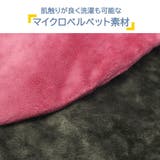 正規取扱店 GI AIR | ギャレリア Bag&Luggage | 詳細画像8