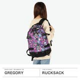 日本正規品 グレゴリー GREGORY | ギャレリア Bag＆Luggage | 詳細画像2 
