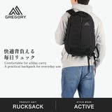日本正規品 グレゴリー リュック | ギャレリア Bag&Luggage | 詳細画像2