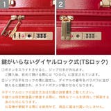 正規品 ハント スーツケース | ギャレリア Bag&Luggage | 詳細画像6
