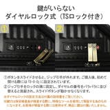 ハント スーツケース Sサイズ | ギャレリア Bag&Luggage | 詳細画像9