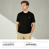 ラコステ Tシャツ LACOSTE | ギャレリア Bag＆Luggage | 詳細画像2 