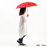 サンキューニプリュスエム 折りたたみ傘 軽量 | ギャレリア Bag＆Luggage | 詳細画像4 