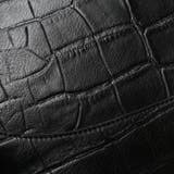 ペッレモルビダ ボストンバッグ PELLEMORBIDA | ギャレリア Bag＆Luggage | 詳細画像23 