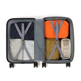 正規品 スカンジナビアンフォレスト スーツケース | ギャレリア Bag&Luggage | 詳細画像18