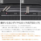 正規品 スカンジナビアンフォレスト スーツケース | ギャレリア Bag&Luggage | 詳細画像7