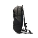 日本正規品 ザ ノース | ギャレリア Bag＆Luggage | 詳細画像11 