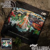 日本正規品 ザ ノース | ギャレリア Bag&Luggage | 詳細画像1