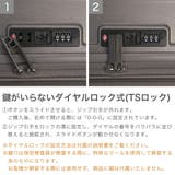 正規品 ティエラル スーツケース | ギャレリア Bag＆Luggage | 詳細画像6 