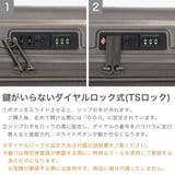 正規品 ティエラル スーツケース | ギャレリア Bag＆Luggage | 詳細画像6 