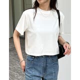 ホワイト(502) | [2025 SUMMER COLLECTION]セミクロップド半袖Tシャツ | Re:EDIT