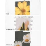 [UVカット][接触冷感]フラワーフォトＴシャツ | Re:EDIT | 詳細画像19 