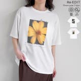 [UVカット][接触冷感]フラワーフォトＴシャツ | Re:EDIT | 詳細画像1 
