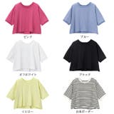 綿混素材ショート丈Tシャツ 夏服 | GeeRA | 詳細画像7