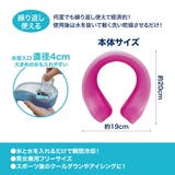 氷 水 入れるだけ | Beauty&Life by GLOBAL JAPAN | 詳細画像3