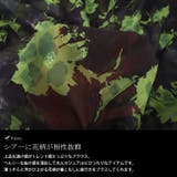 大きいサイズ レディース チュニック | GOLDJAPAN 大きいサイズ専門店 | 詳細画像5