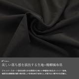 大きいサイズレディース ワンピース フェイクレイヤードフレアワンピース | GOLDJAPAN　大きいサイズ専門店 | 詳細画像5 