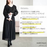 大きいサイズ レディース ワンピース | GOLDJAPAN　大きいサイズ専門店 | 詳細画像2 