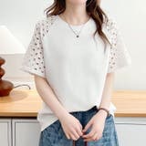 大きいサイズ レディース トップス | GOLDJAPAN 大きいサイズ専門店 | 詳細画像11