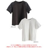 大きいサイズ レディース トップス | GOLDJAPAN 大きいサイズ専門店 | 詳細画像15