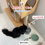 ペット 給水器 フィルター | GOLWIS | 詳細画像13