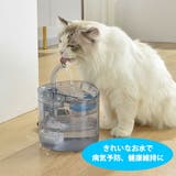 交換用フィルター 5枚入り ペット給水器専用 | GOLWIS | 詳細画像7