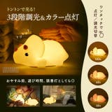 恐竜 ナイトライト かわいい | GOLWIS | 詳細画像4 