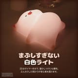 ナイトライト こぶた かわいい | GOLWIS | 詳細画像3 