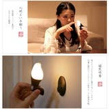 PSE認証済み ライト 鳥 | GOLWIS | 詳細画像2