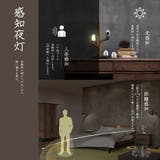 PSE認証済み ライト 鳥 | GOLWIS | 詳細画像3