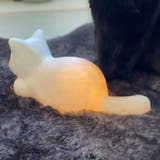 猫 インテリアライト 調色 | GOLWIS | 詳細画像9