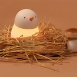 ナイトライト ひよこ 子供部屋 | GOLWIS | 詳細画像10