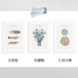 額入り アートポスター 30 | GOLWIS | 詳細画像4 