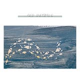 額入り アートポスター 50 | GOLWIS | 詳細画像5 